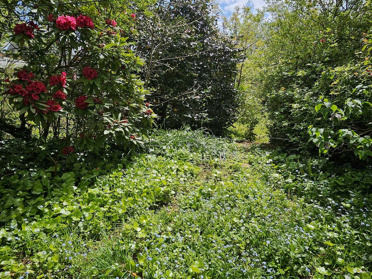574 Ellsmore Road Exeter 574 Ellsmore Road Exeter