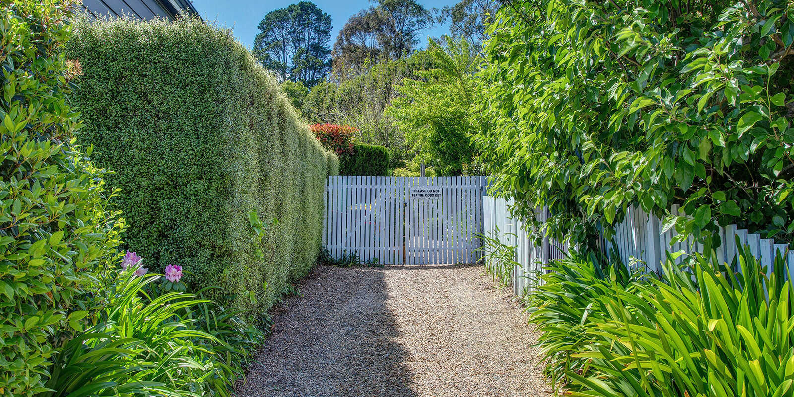 34 Throsby Street Moss Vale 34 Throsby Street Moss Vale