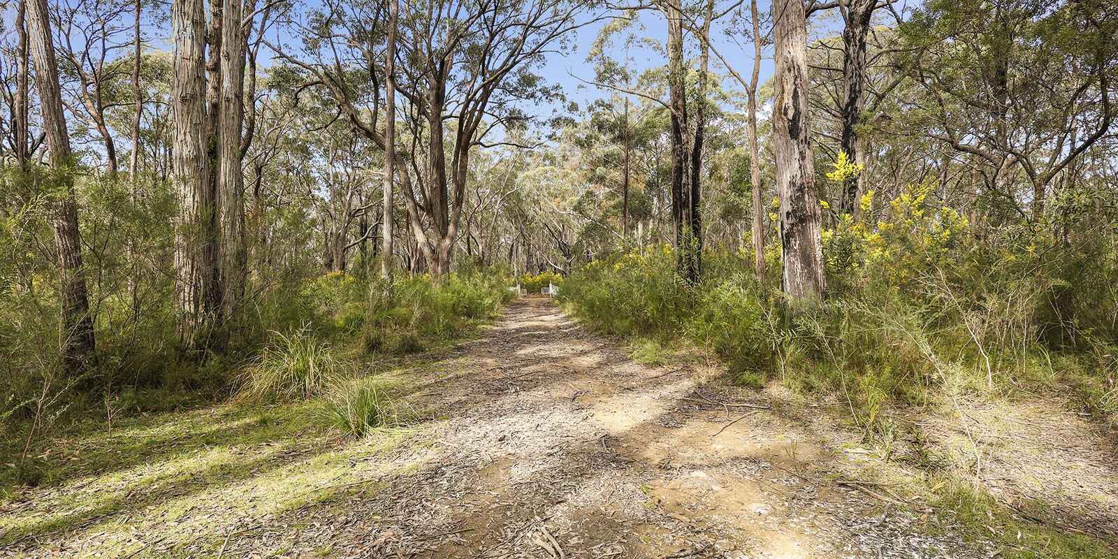55 Spring Hills Road Meryla 55 Spring Hills Road Meryla