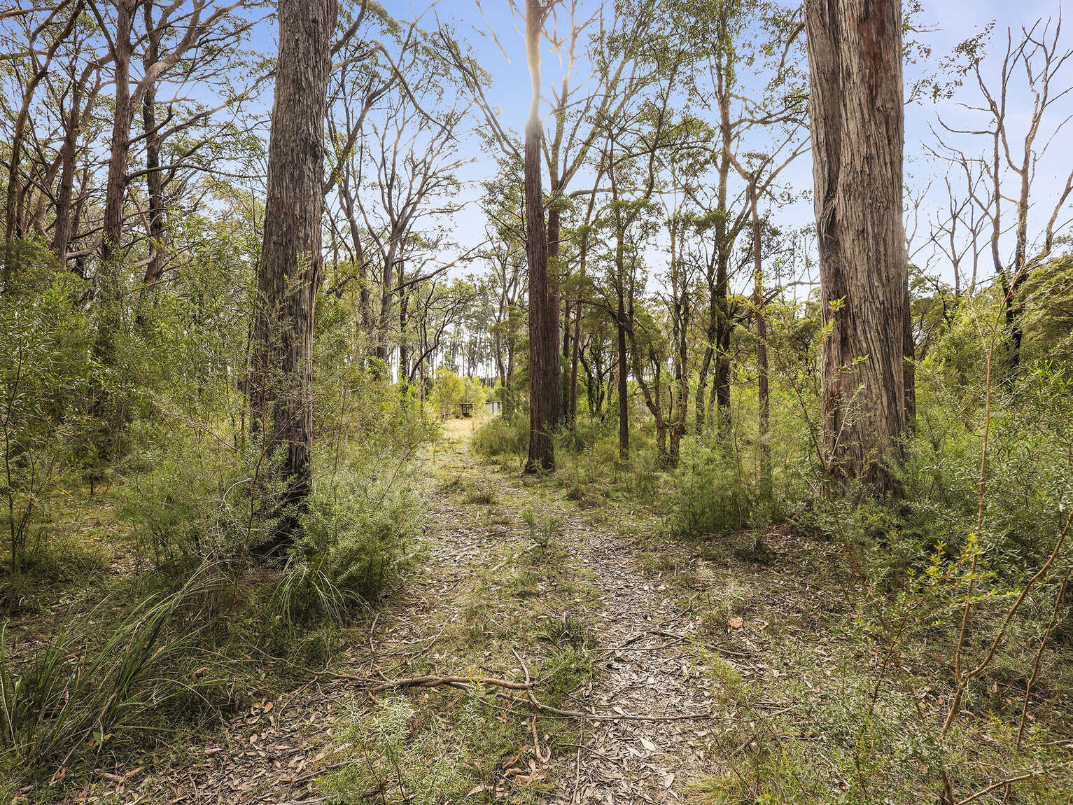 55 Spring Hills Road Meryla 55 Spring Hills Road Meryla