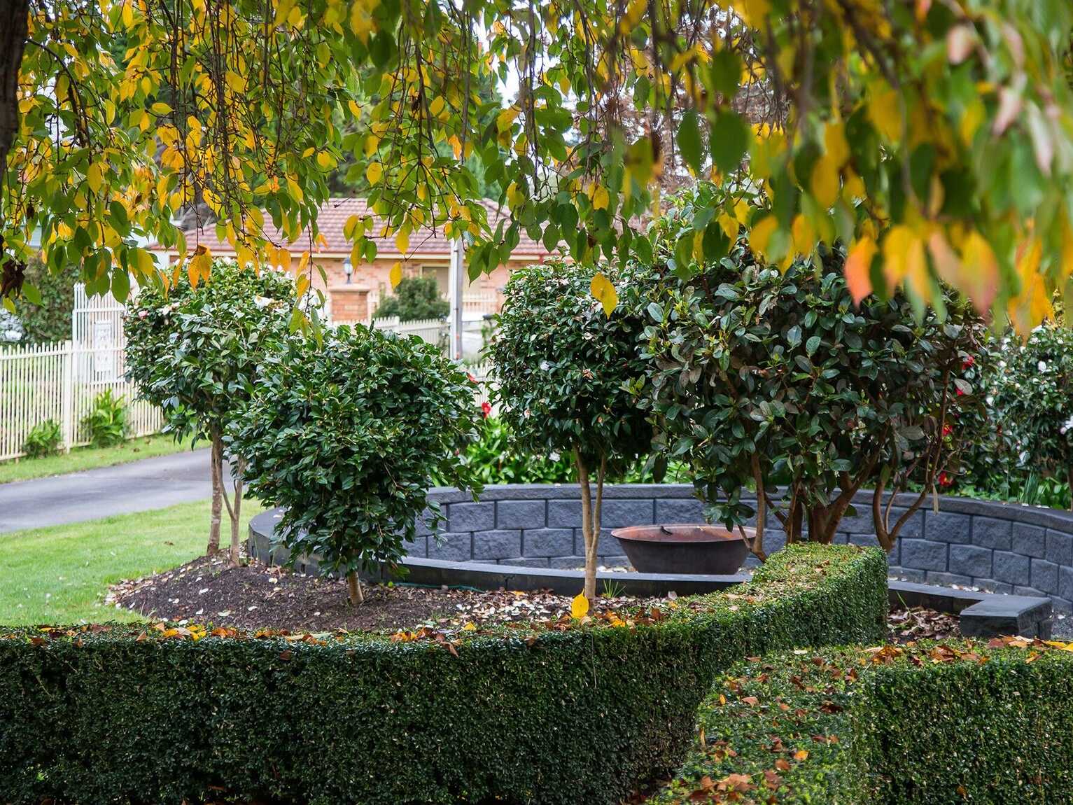 4 Rytina Place Moss Vale