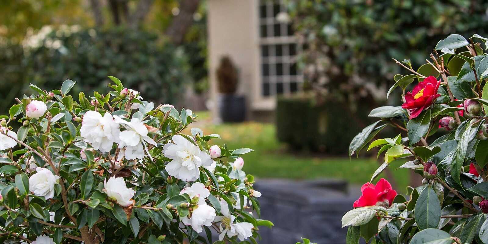 4 Rytina Place Moss Vale