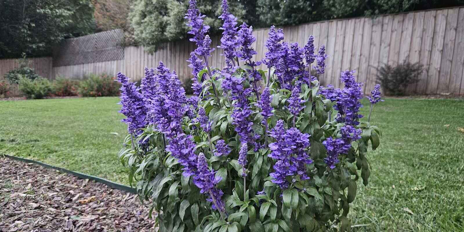 21 Betula Grove Bundanoon 21 Betula Grove Bundanoon