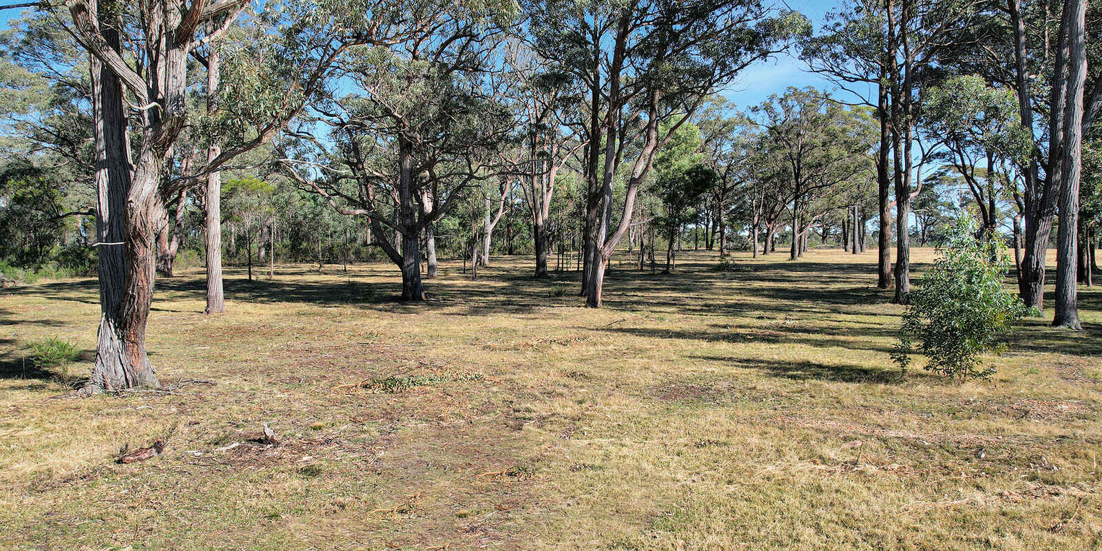 633A Hanging Rock Road Paddys River