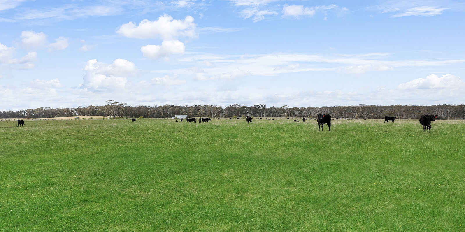 60 Wanganderry Road High Range