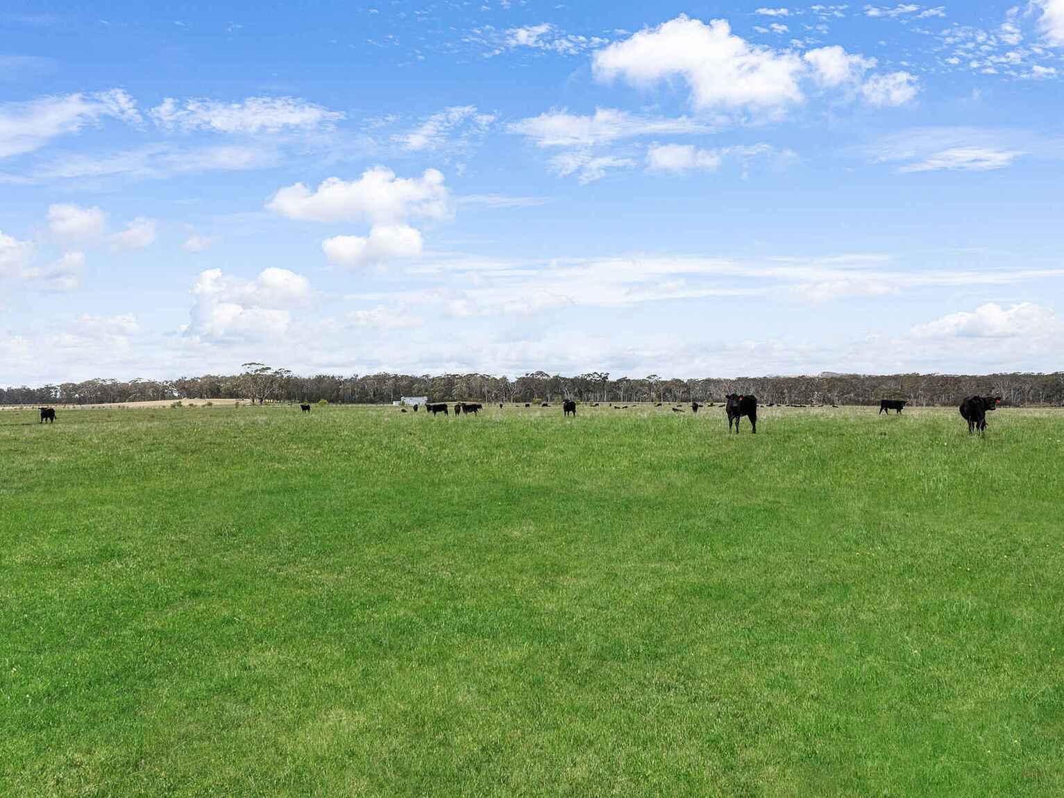 60 Wanganderry Road High Range 60 Wanganderry Road High Range