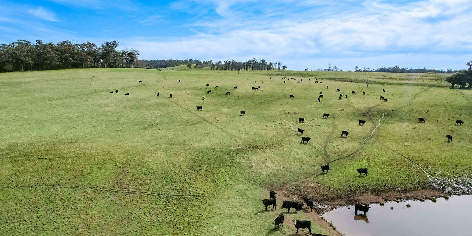 60 Wanganderry Road High Range