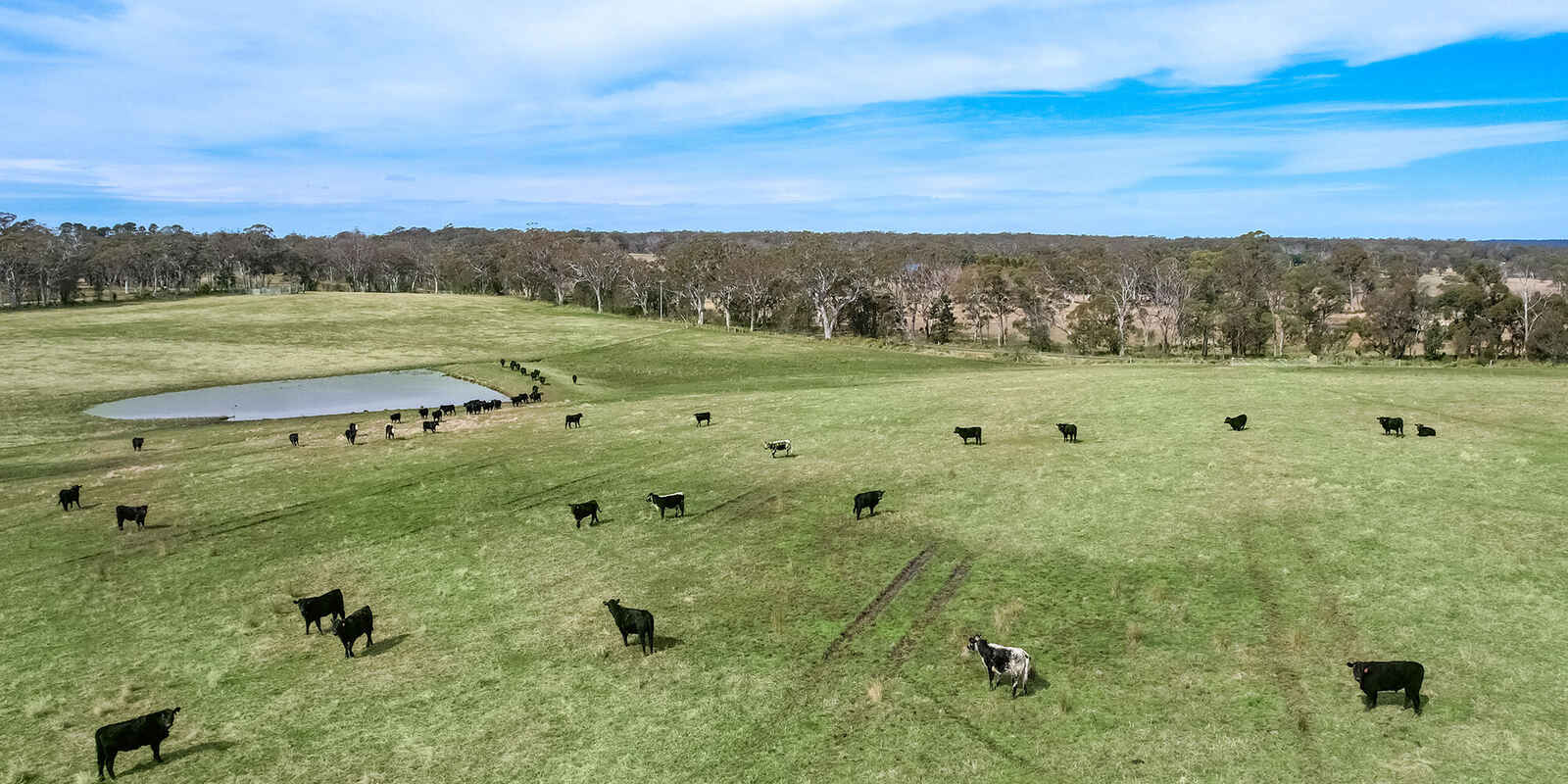 60 Wanganderry Road High Range