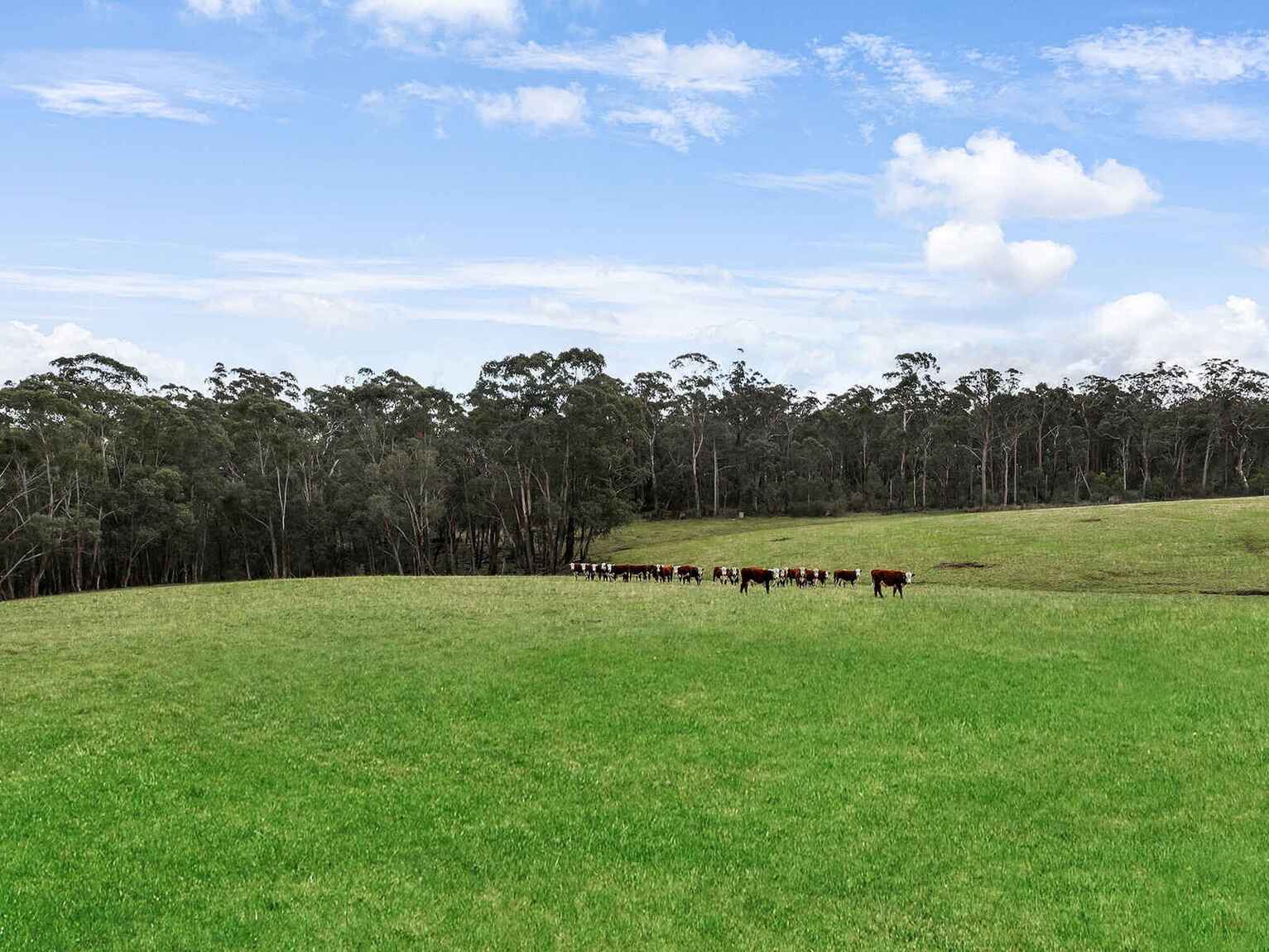 60 Wanganderry Road High Range 60 Wanganderry Road High Range