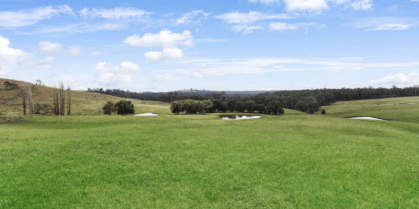 60 Wanganderry Road High Range