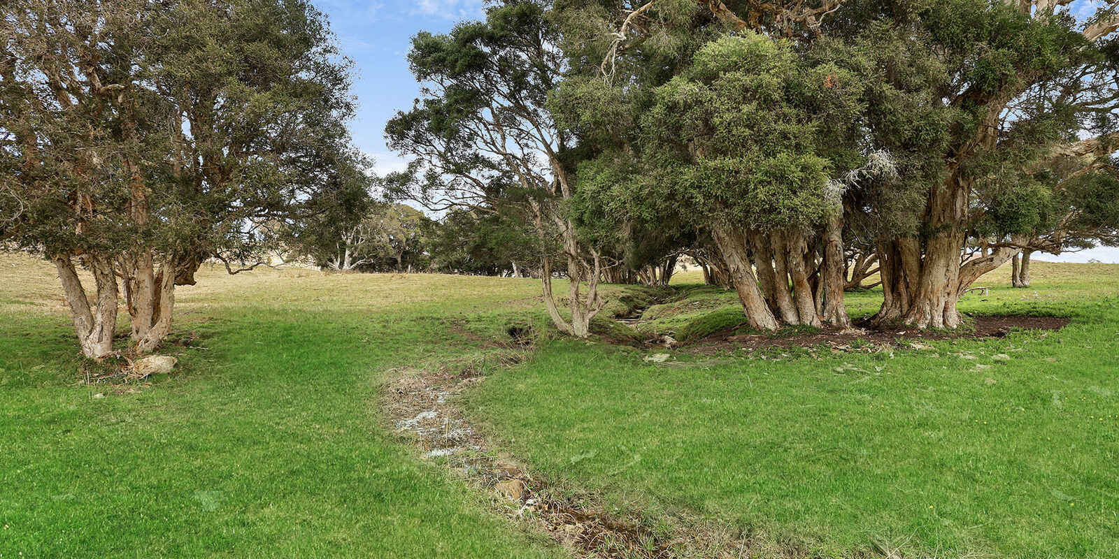 60 Wanganderry Road High Range