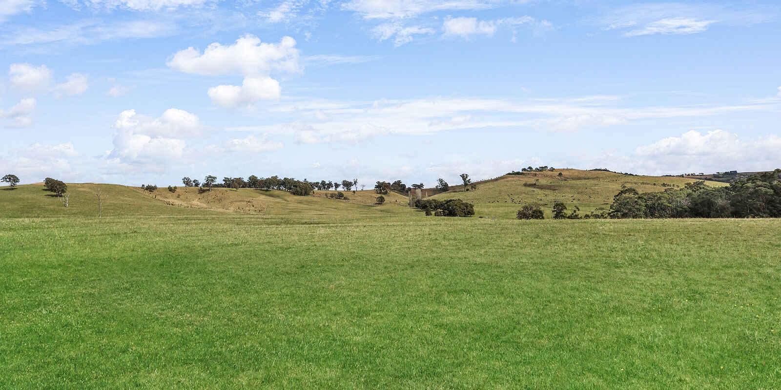 60 Wanganderry Road High Range