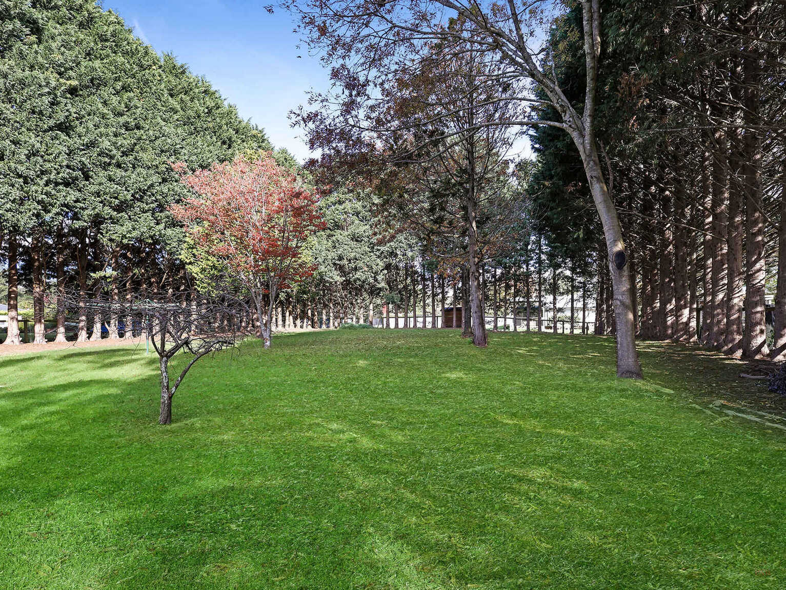 15 Forwood Crescent Bundanoon