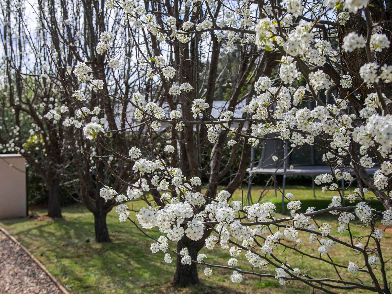 14 Greasons Road Bundanoon 14 Greasons Road Bundanoon