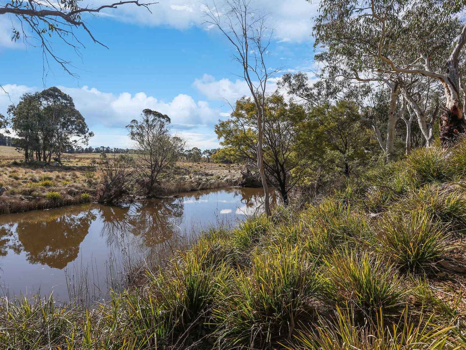 551 Inverary Road Paddys River