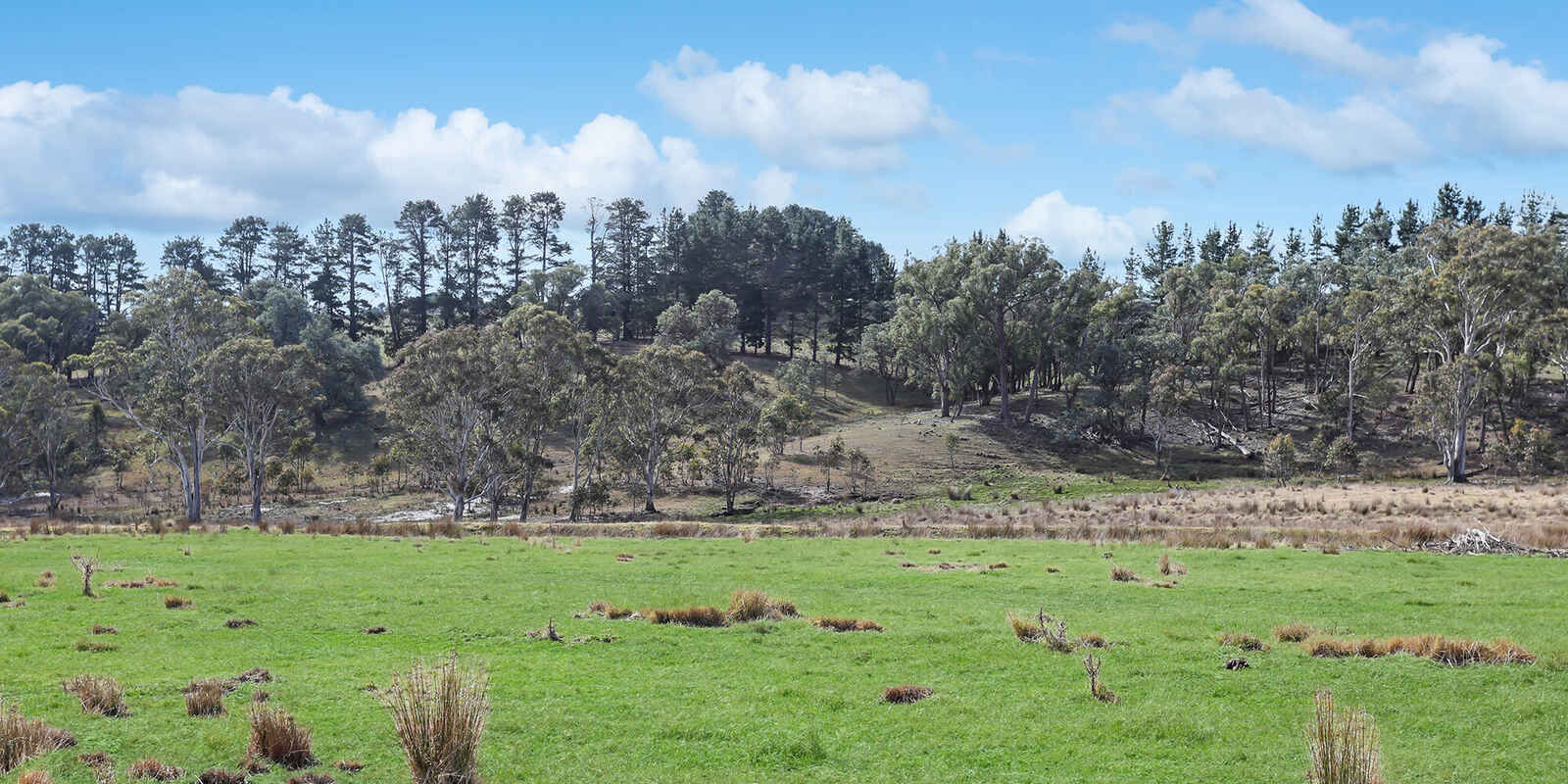 551 Inverary Road Paddys River