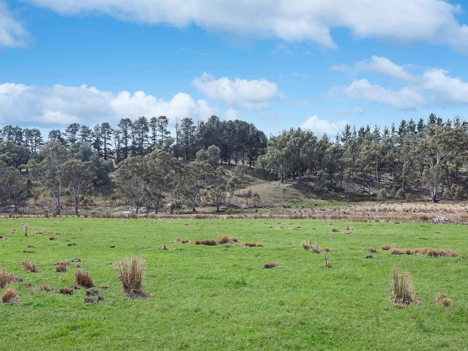 551 Inverary Road Paddys River