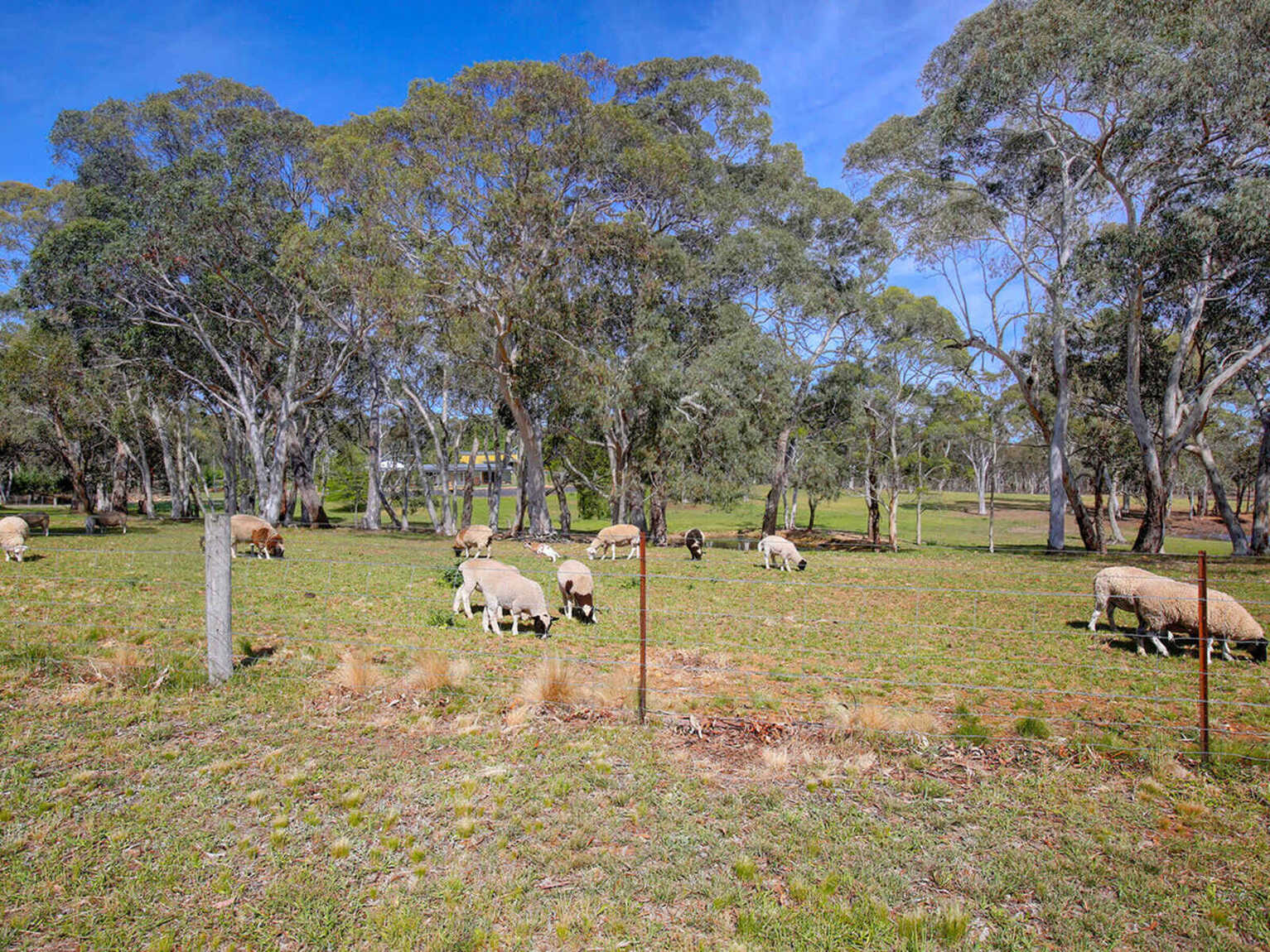 797 Wombeyan Caves Road High Range