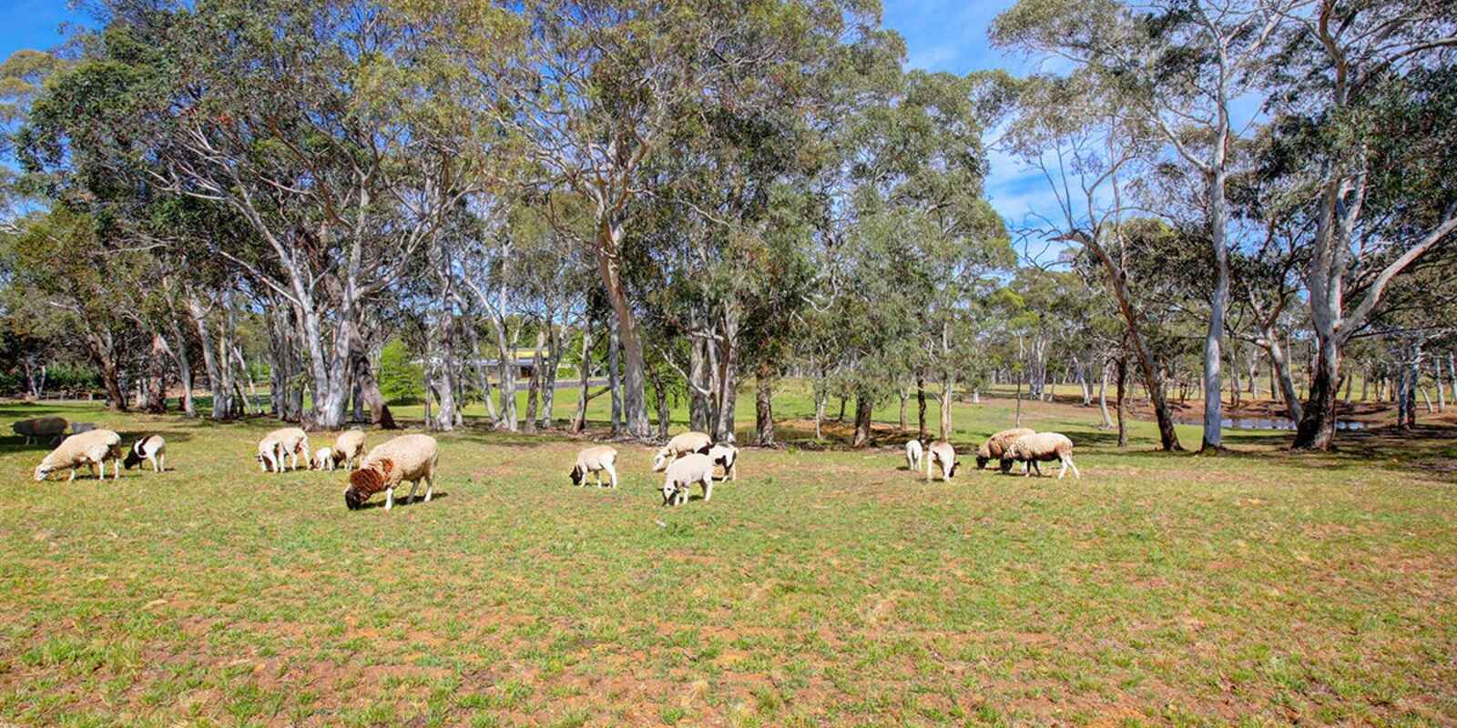 797 Wombeyan Caves Road High Range