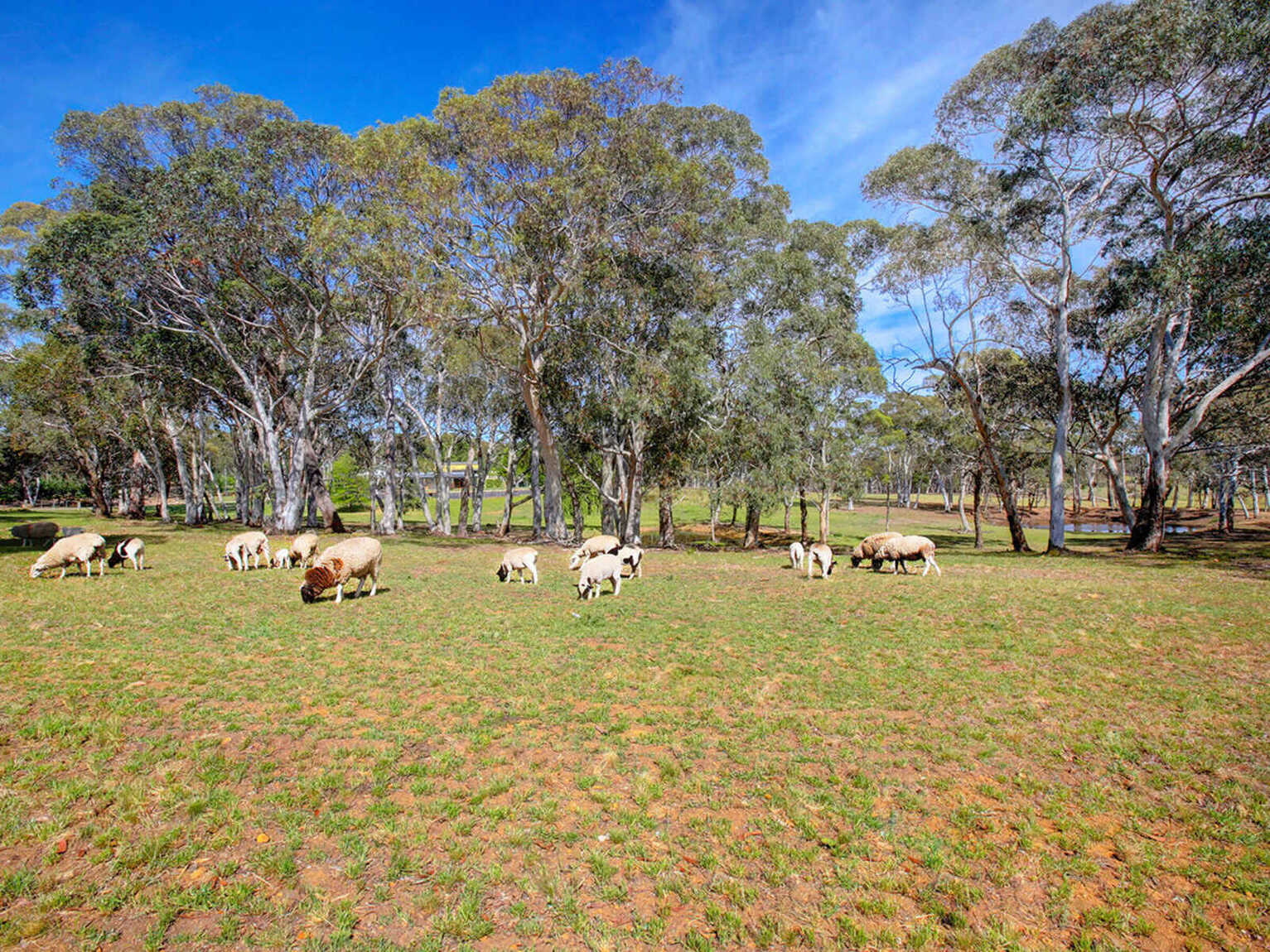 797 Wombeyan Caves Road High Range