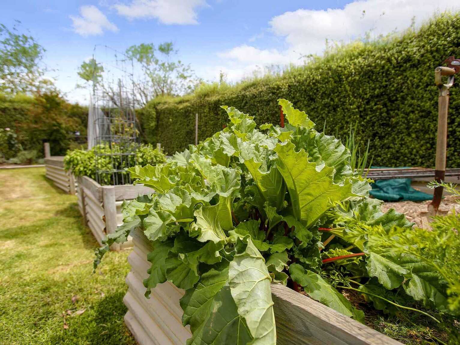 6 Betula Grove Bundanoon