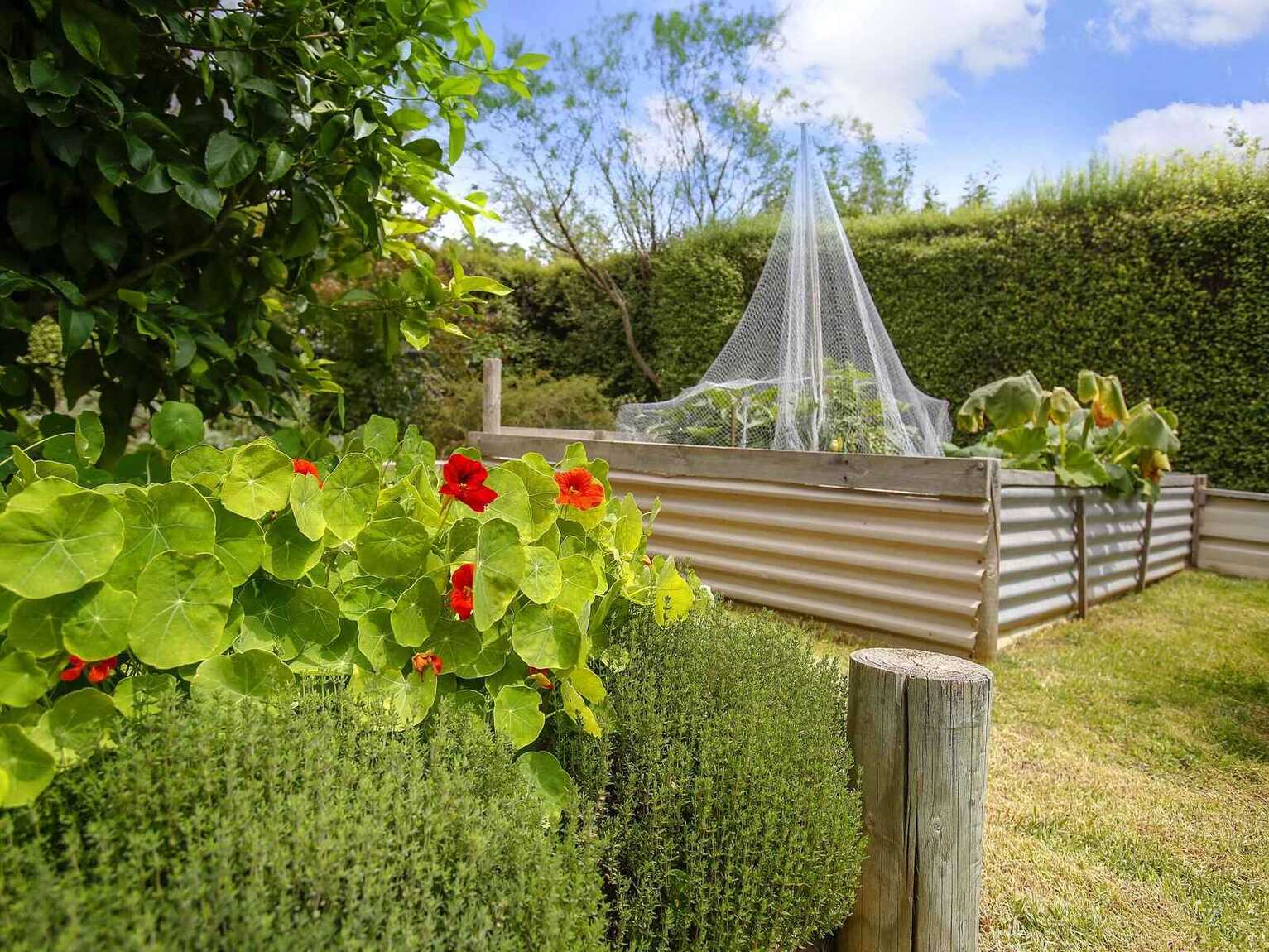 6 Betula Grove Bundanoon