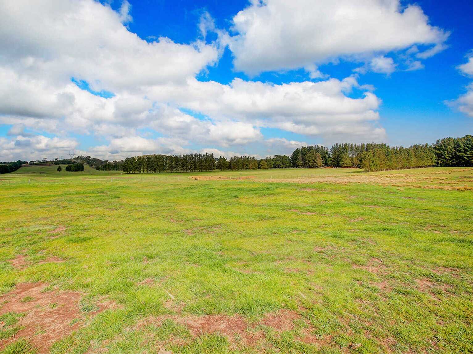 248 Exeter Road Sutton Forest