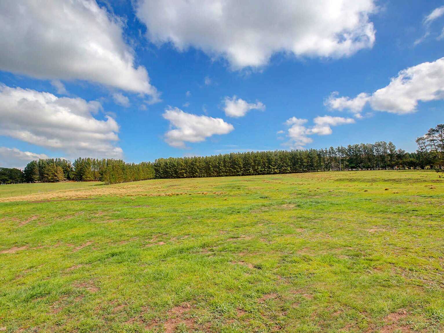 248 Exeter Road Sutton Forest