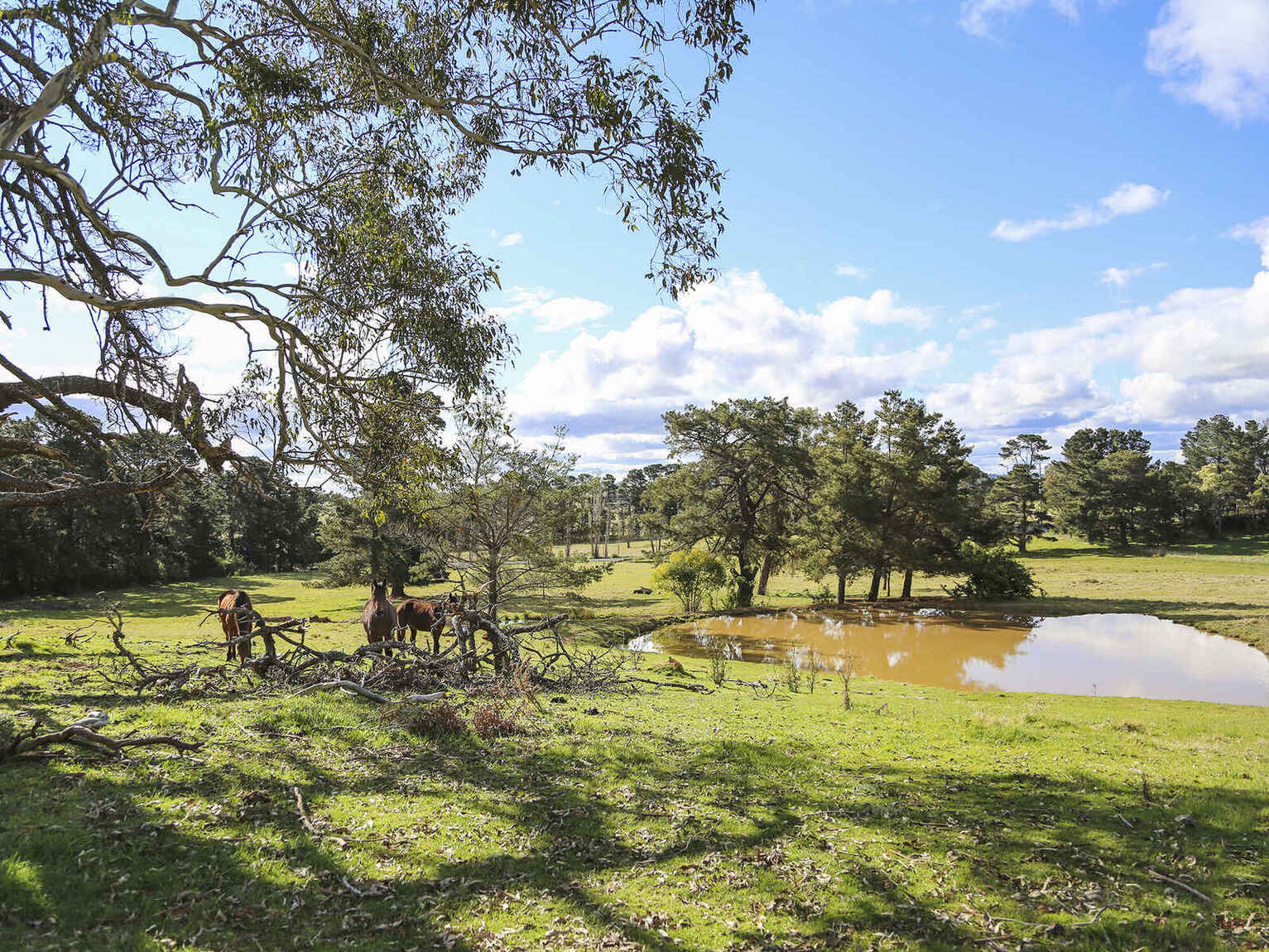 7031 Illawarra Highway Moss Vale