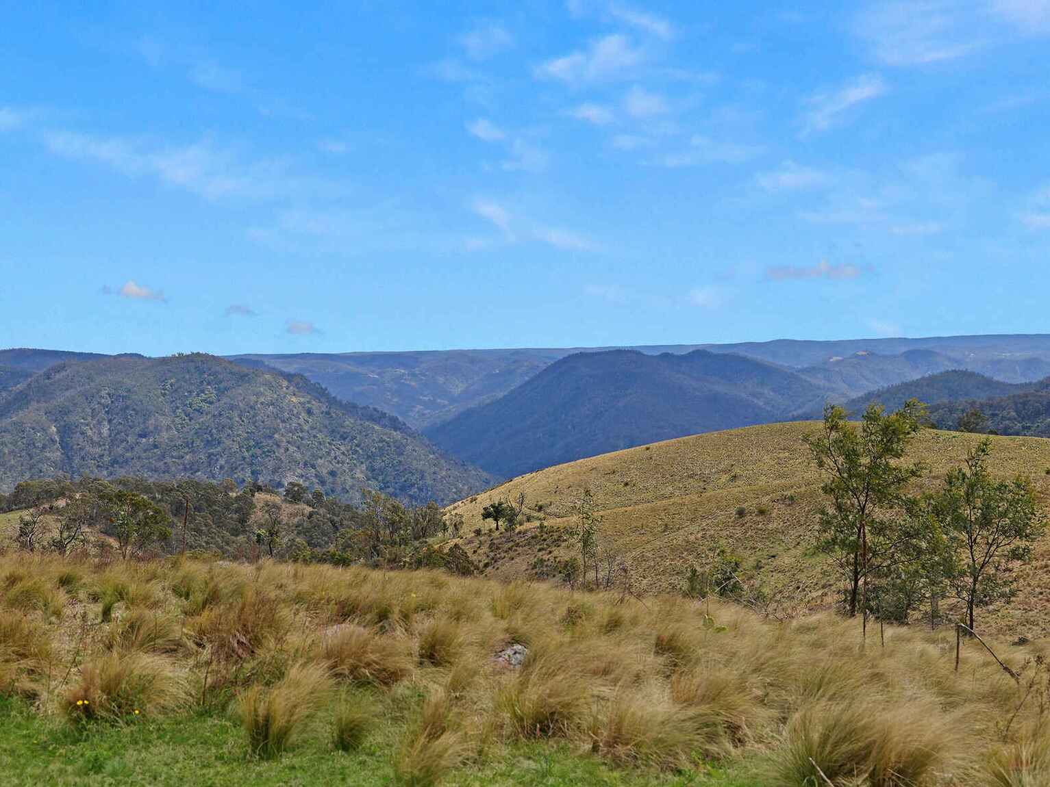 116 Pheasant Gully Road Bullio