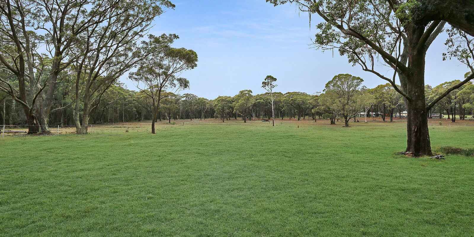  Wildwood/Nandi/Wattlebird Wingello
