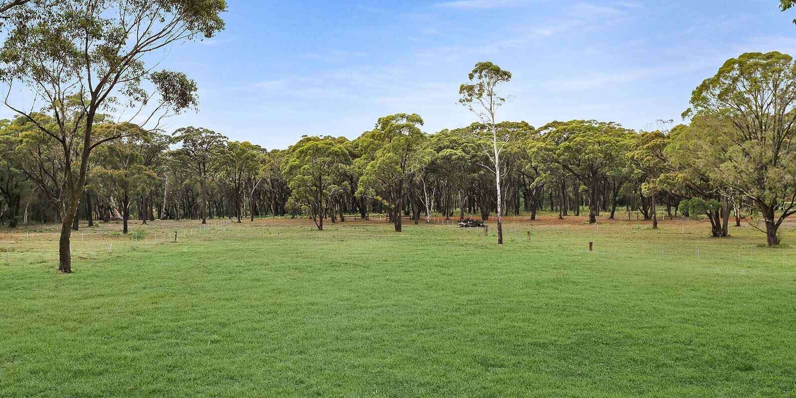  Wildwood/Nandi/Wattlebird Wingello