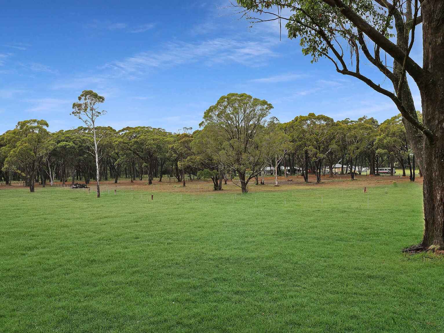  Wildwood/Nandi/Wattlebird Wingello