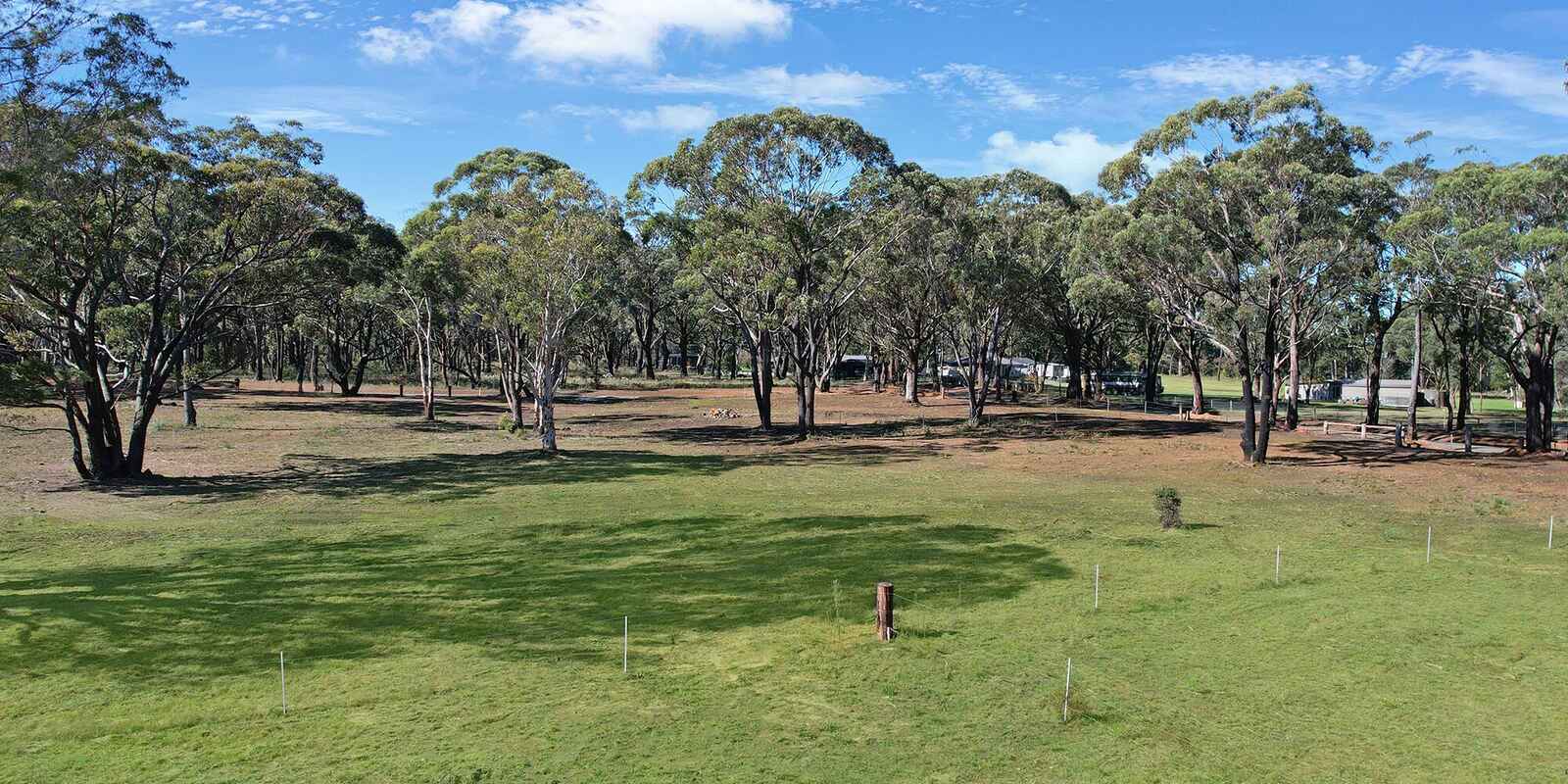  Wildwood/Nandi/Wattlebird Wingello