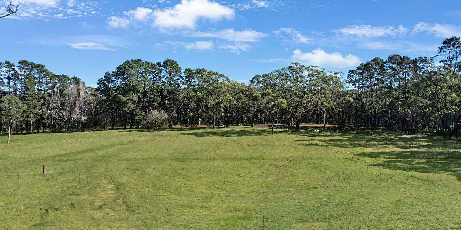  Wildwood/Nandi/Wattlebird Wingello