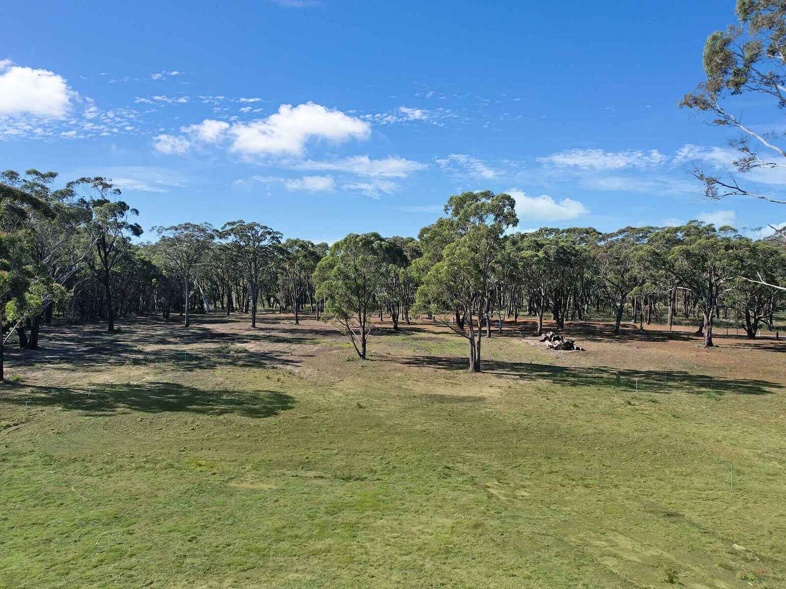  Wildwood/Nandi/Wattlebird Wingello