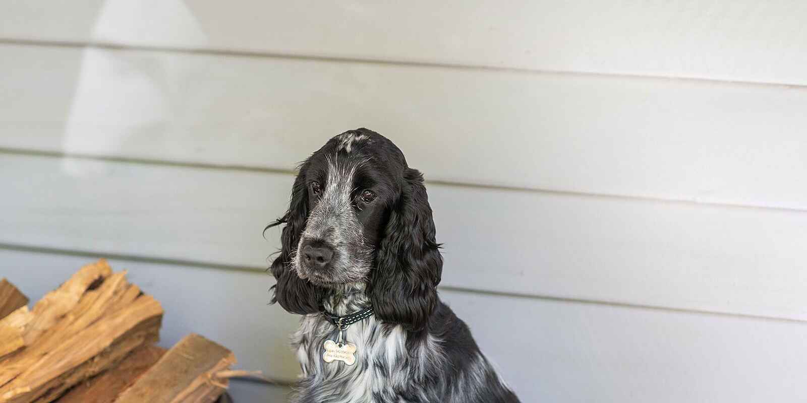 33 William Street Bundanoon