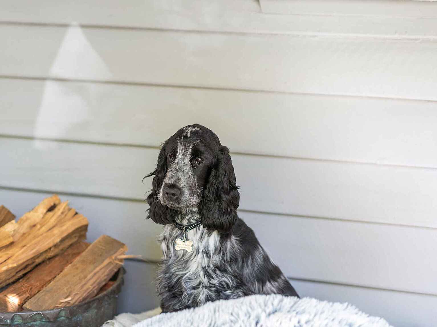 33 William Street Bundanoon