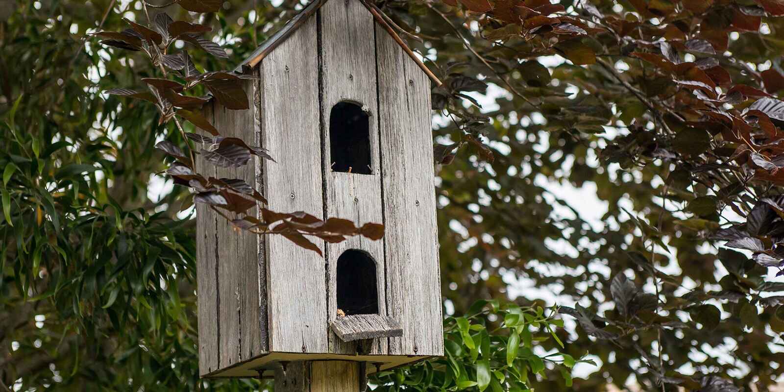 746 Sheepwash Road Avoca 746 Sheepwash Road Avoca