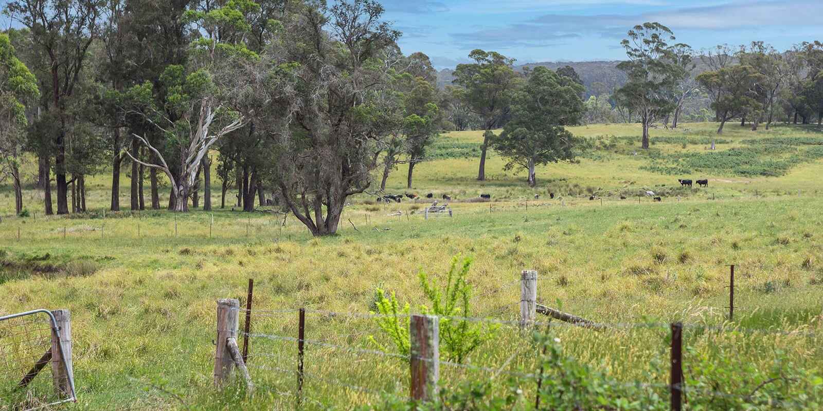 746 Sheepwash Road Avoca 746 Sheepwash Road Avoca