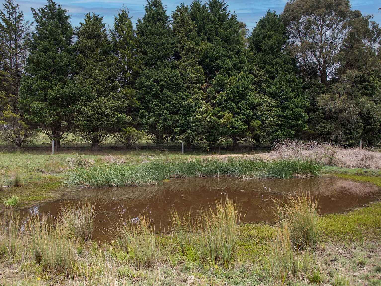 746 Sheepwash Road Avoca 746 Sheepwash Road Avoca