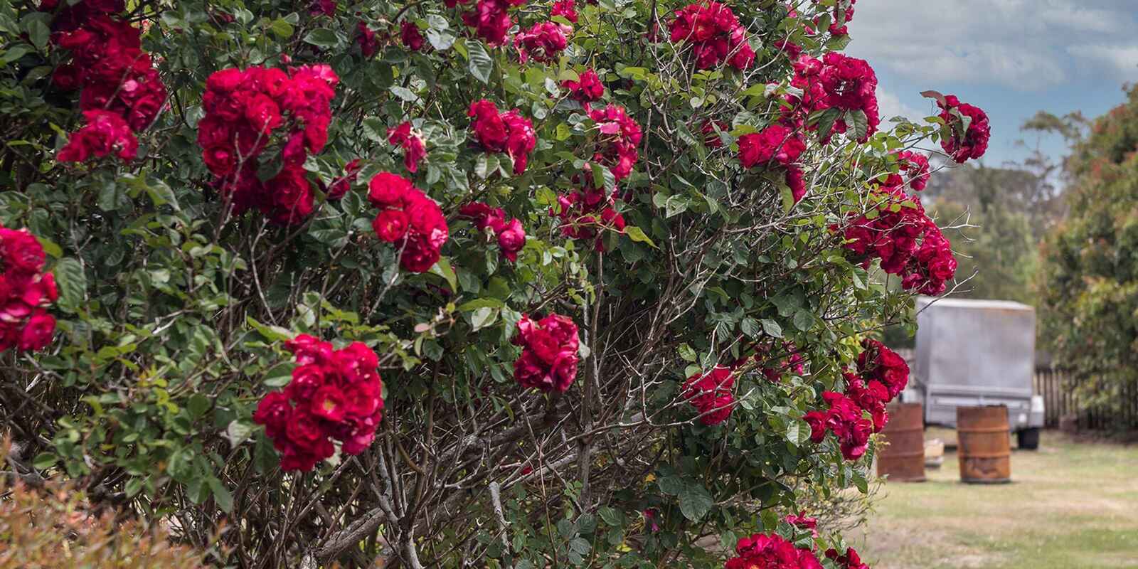 746 Sheepwash Road Avoca 746 Sheepwash Road Avoca