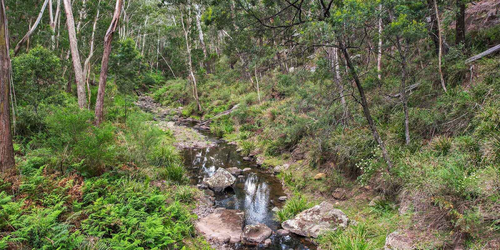 49 Binghams Lane Tallong