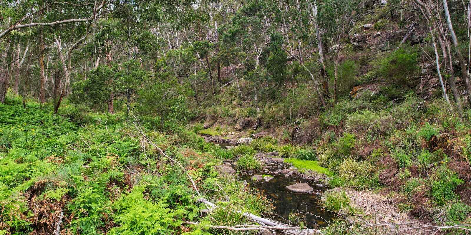 49 Binghams Lane Tallong