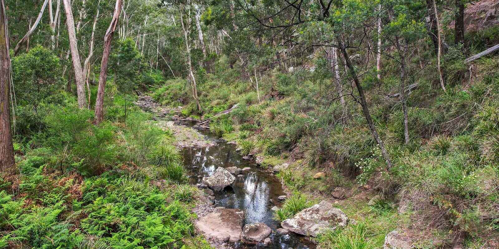 49 Binghams Lane Tallong