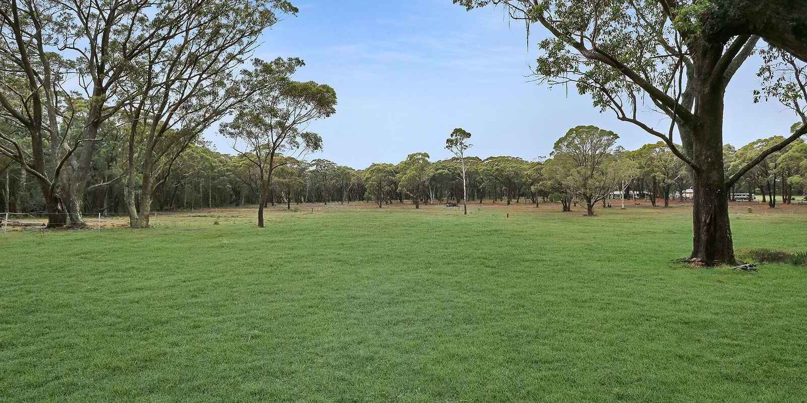  Wildwood/Nandi/Wattlebird Wingello