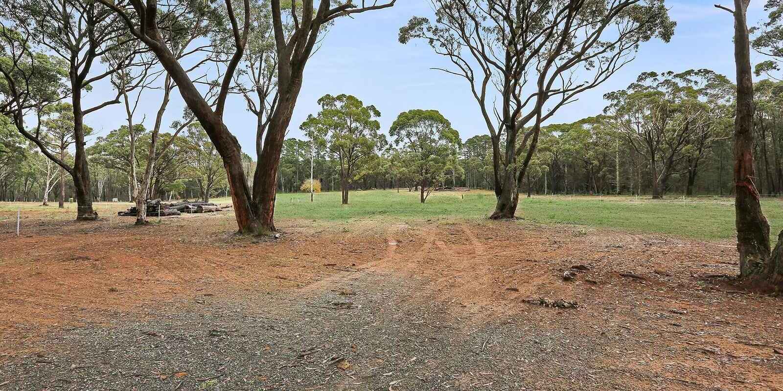  Wildwood/Nandi/Wattlebird Wingello