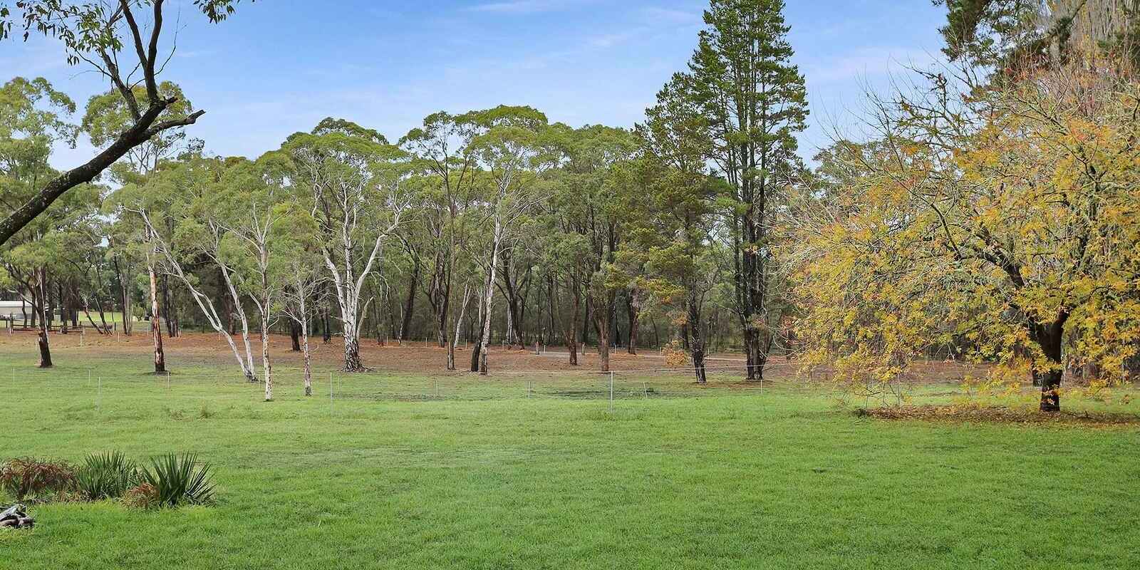  Wildwood/Nandi/Wattlebird Wingello