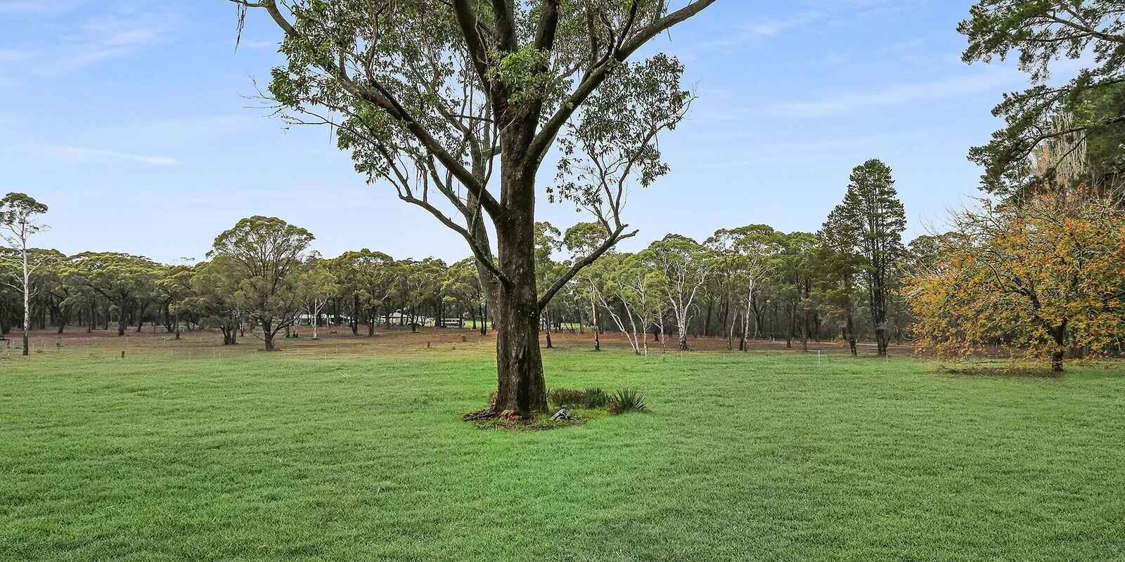  Wildwood/Nandi/Wattlebird Wingello