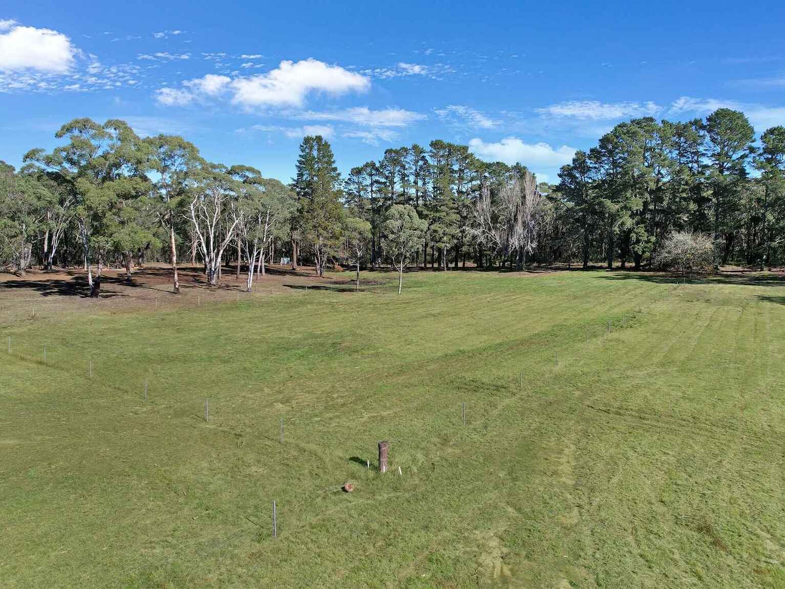  Wildwood/Nandi/Wattlebird Wingello